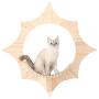 MYZOO Solar, Sun Shape, Wall Mounted Cat Shelves, Floating Perch, Cat Tree,Solid Wood