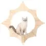 MYZOO Solar, Sun Shape, Wall Mounted Cat Shelves, Floating Perch, Cat Tree,Solid Wood MYZOO Solar, Sun Shape, Wall Mounted Cat Shelves, Floating Perch, Cat Tree,Solid Wood