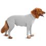 Shed Defender Original Dog Onesie - Seen On Shark Tank, Contains Shedding of Dog Hair for Home, Car, Travel, Anxiety Calming Shirt, Surgery Recovery Body Jumpsuit, E Collar Alternative Shed Defender Original Dog Onesie - Seen On Shark Tank, Contains Shedding of Dog Hair for Home, Car, Travel, Anxiety Calming Shirt, Surgery Recovery Body Jumpsuit, E Collar Alternative