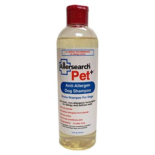 Pet+ Dog Shampoo 16 Oz