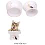 gutongyuan Cat Water Bowl, Cat Bowls Elevated, Ceramic Pet Bowl for Protect Pets Spine, Stress Free, Dishwasher Safe