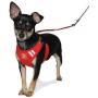 DOGO 100 Dogo EasyGo Basic Harness - Green - Medium