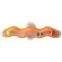 MOMU Track Window Accessories Table Tennis Ball Cat Toys Sucker Adsorption Glass New Funny Cats Educational Toy MOMU Track Window Accessories Table Tennis Ball Cat Toys Sucker Adsorption Glass New Funny Cats Educational Toy