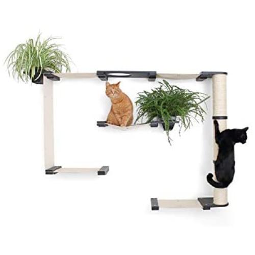 CatastrophiCreations Mini Garden - Multiple Level Cat Hammock and Climbing Activity Center - Wall-Mounted Cat Tree Shelves