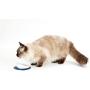 HARIO Cat Food Bowl For Long- Haired Cats