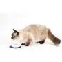 HARIO Cat Food Bowl For Long- Haired Cats HARIO Cat Food Bowl For Long- Haired Cats
