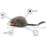 AXEL PETS 60 Furry Mice with Catnip and Rattle Sound Made of Real Rabbit Fur Interactive Catch Play Mouse Toy for Cat, Box of 60 Mice