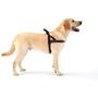 ComfortFlex American Made Quick Fit Fully Padded Non-Chafing Reflective Sport Dog Harness for Active Dogs