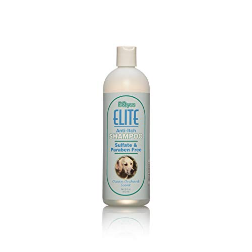 EQyss Elite Anti-Itch Pet Shampoo - Anti-Itch Shampoo Fortified with Aloe for Immediate Relief. 16 oz