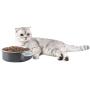 PawsMark Digital Scale Dog Feeding Bowl, Removable Washable Stainless Steel Bowl