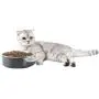 PawsMark Digital Scale Dog Feeding Bowl, Removable Washable Stainless Steel Bowl PawsMark Digital Scale Dog Feeding Bowl, Removable Washable Stainless Steel Bowl