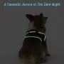 Golener Dog Harness No Pull, Reflective Puppy Harness with Led Light, Adjustable Dog Vest Harness, Soft Breathable Oxford Stylish Pet Harnesses with Easy Control Handle for Small Dogs(Red.S)