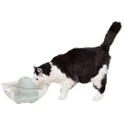 PetSafe Drinkwell Sedona Dog and Cat Water Fountain, Ceramic and BPA-Free Plastic Pet Drinking Fountain, 100 oz. Water Capacity PetSafe Drinkwell Sedona Dog and Cat Water Fountain, Ceramic and BPA-Free Plastic Pet Drinking Fountain, 100 oz. Water Capacity