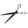 ShearsDirect Japanese 440C Stainless Steel Rainbow Titanium Grooming Shear, 8-Inch