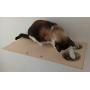 A Cats Domain Wall Mounted Cat Feeding Shelf (Elevated Diner) Physical Size: Depth- 12.75 Inches Width- 24 Inches Height- 2.5 Inches (24 Width, Unfinished)