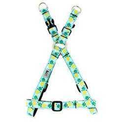 RC Pet Products Adjustable Step in Dog Harness, Medium, Pineapple Parade (57004251)