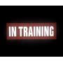 JUJUPUPS Orange Reflective Dog Patches 2 Pack Service Dog,in Training,DO NOT PET,Patches with Hook and Iron On Loop for Vests and Harnesses (in Training, 6x2 inch)