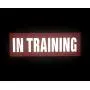 JUJUPUPS Orange Reflective Dog Patches 2 Pack Service Dog,in Training,DO NOT PET,Patches with Hook and Iron On Loop for Vests and Harnesses (in Training, 6x2 inch) JUJUPUPS Orange Reflective Dog Patches 2 Pack Service Dog,in Training,DO NOT PET,Patches with Hook and Iron On Loop for Vests and Harnesses (in Training, 6x2 inch)
