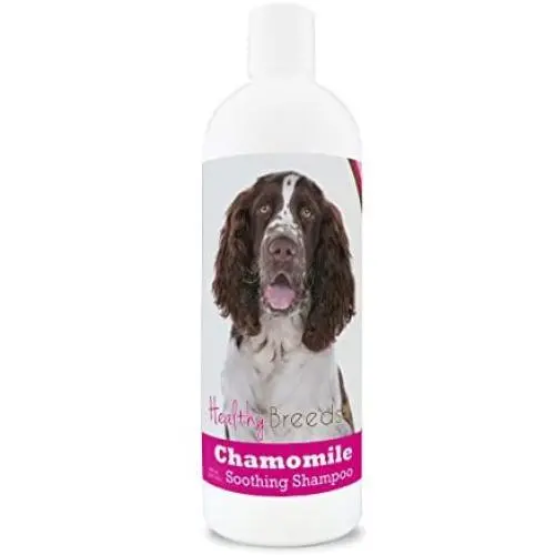 Healthy Breeds Chamomile Dog Shampoo & Conditioner with Oatmeal & Aloe for English Springer Spaniel - OVER 200 BREEDS - 8 oz - Gentle for Dry Itchy Skin - Safe with Flea and Tick Topicals