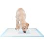 Homey Dog Training Pad Puppy Training Pad Training Pad for Pet Puppy Pads Pet Training Pads Training Pads for Dogs Extra Large (S (1318), 100 Pads)
