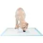 Homey Dog Training Pad Puppy Training Pad Training Pad for Pet Puppy Pads Pet Training Pads Training Pads for Dogs Extra Large (S (1318), 100 Pads)