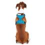 Good2Go Blue Front Walking Dog Harness, Large