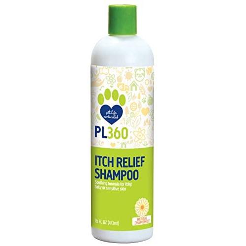 PL360 Itch Relief Dog Shampoo with Colloidal Oatmeal for Dry Skin, Herbal Chamomile, 16 Ounce