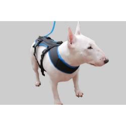 Bikejoring Dog Harness Black
