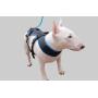 Bikejoring Dog Harness Black