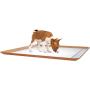 Skywin Dog Pee Pad Holder - No Spill Pee Pad Holder for Dogs - Wee Wee Pad Holder Works with Most Training Pads, Easy to Clean and Store (1 Pack, Beige)