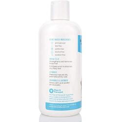 Shed Defender Shed Defense Shampoo for Dogs to Reduce Shedding, w/Omega 3 & 6, Vitamin E, Natural Ingredients & Plant Based, Hypoallergenic