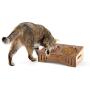 Kittylux Cat Food Bowls | Cat Bowls with Stand | Elevated Dog Bowls | Raised Cat Bowls | Cat Food and Water Bowls | Elevated Cat Feeder | Cat Dishes for Food and Water | Raised Dog Bowls