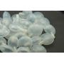 Tool Parts 50PCS/Lot Squeakers Repair Fix Dog Pet Baby Toy Noise Maker Insert Replacement 35mm
