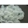 Tool Parts 50PCS/Lot Squeakers Repair Fix Dog Pet Baby Toy Noise Maker Insert Replacement 35mm
