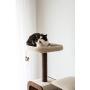 PetPals Four-Level Voyage, Cat Activity Tree with Replaceable Scratching pad.