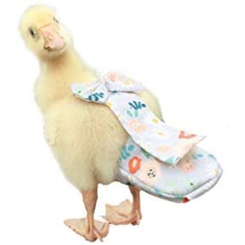 HEZHUO Duck Diapers, Chicken Diapers, Special Diapers for Poultry, Chicken, Duck and Goose Waterproof, Adjustable, Washable and Reusable Diapers，Poultry Supplies, Duck Supplies (S：100克-200克)