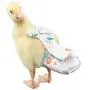 HEZHUO Duck Diapers, Chicken Diapers, Special Diapers for Poultry, Chicken, Duck and Goose Waterproof, Adjustable, Washable and Reusable Diapers,Poultry Supplies, Duck Supplies (S:100克-200克) HEZHUO Duck Diapers, Chicken Diapers, Special Diapers for Poultry, Chicken, Duck and Goose Waterproof, Adjustable, Washable and Reusable Diapers,Poultry Supplies, Duck Supplies (S:100克-200克)
