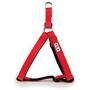 Step in Dog Harness No Choke Comfortable Padded Neoprene, Back Attachment Fully Adjustable for Medium and Small Dogs. New Bright Colors Available