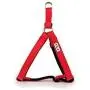 Step in Dog Harness No Choke Comfortable Padded Neoprene, Back Attachment Fully Adjustable for Medium and Small Dogs. New Bright Colors Available Step in Dog Harness No Choke Comfortable Padded Neoprene, Back Attachment Fully Adjustable for Medium and Small Dogs. New Bright Colors Available