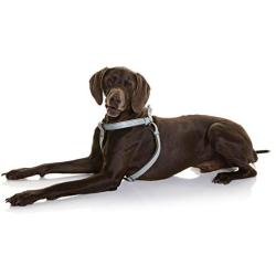 DOOG Step-In Reinforced Neoprene Harness, Water Friendly, Quick-Drying, 2 Adjustable Areas