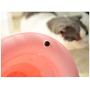 Pet Toy Cat Toy Cat Turntable Ball Fun Puzzle Funny Cat Stick Cat Toy - White - Flash Ball Mouse