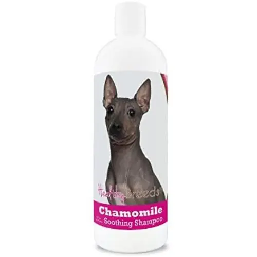 Healthy Breeds Chamomile Dog Shampoo & Conditioner with Oatmeal & Aloe for American Hairless Terrier - OVER 200 BREEDS - 8 oz - Gentle for Dry Itchy Skin - Safe with Flea and Tick Topicals Healthy Breeds Chamomile Dog Shampoo & Conditioner with Oatmeal & Aloe for American Hairless Terrier - OVER 200 BREEDS - 8 oz - Gentle for Dry Itchy Skin - Safe with Flea and Tick Topicals