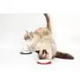 HARIO Cat Food Bowl For Long- Haired Cats HARIO Cat Food Bowl For Long- Haired Cats