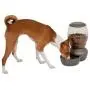 Petmate Replendish Feeder with Microban Automatic Cat and Dog Feeder 4 Sizes Available Petmate Replendish Feeder with Microban Automatic Cat and Dog Feeder 4 Sizes Available