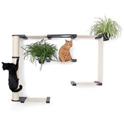 CatastrophiCreations Mini Garden - Multiple Level Cat Hammock and Climbing Activity Center - Wall-Mounted Cat Tree Shelves