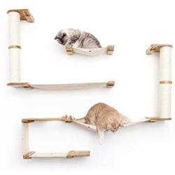 CatastrophiCreations Roman - Multiple-Level Cat Hammock & Climbing Activity Center Wall-Mounted Cat Tree Shelves