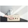 Litewood Cat Toy Wooden Puzzle Box Interactive Mouse Solid Whack-a-mole Exercise Toys