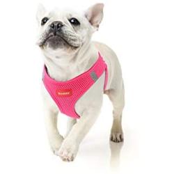 RAINDEE Dog Harness All Weather Soft- Mesh Vest Harness for Small and Medium Dogs 4 Size 7 Colors