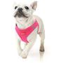 RAINDEE Dog Harness All Weather Soft- Mesh Vest Harness for Small and Medium Dogs 4 Size 7 Colors