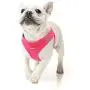 RAINDEE Dog Harness All Weather Soft- Mesh Vest Harness for Small and Medium Dogs 4 Size 7 Colors